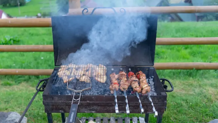 Symbolbild: Traeger Pelletgrills: alle Serien im Überblick